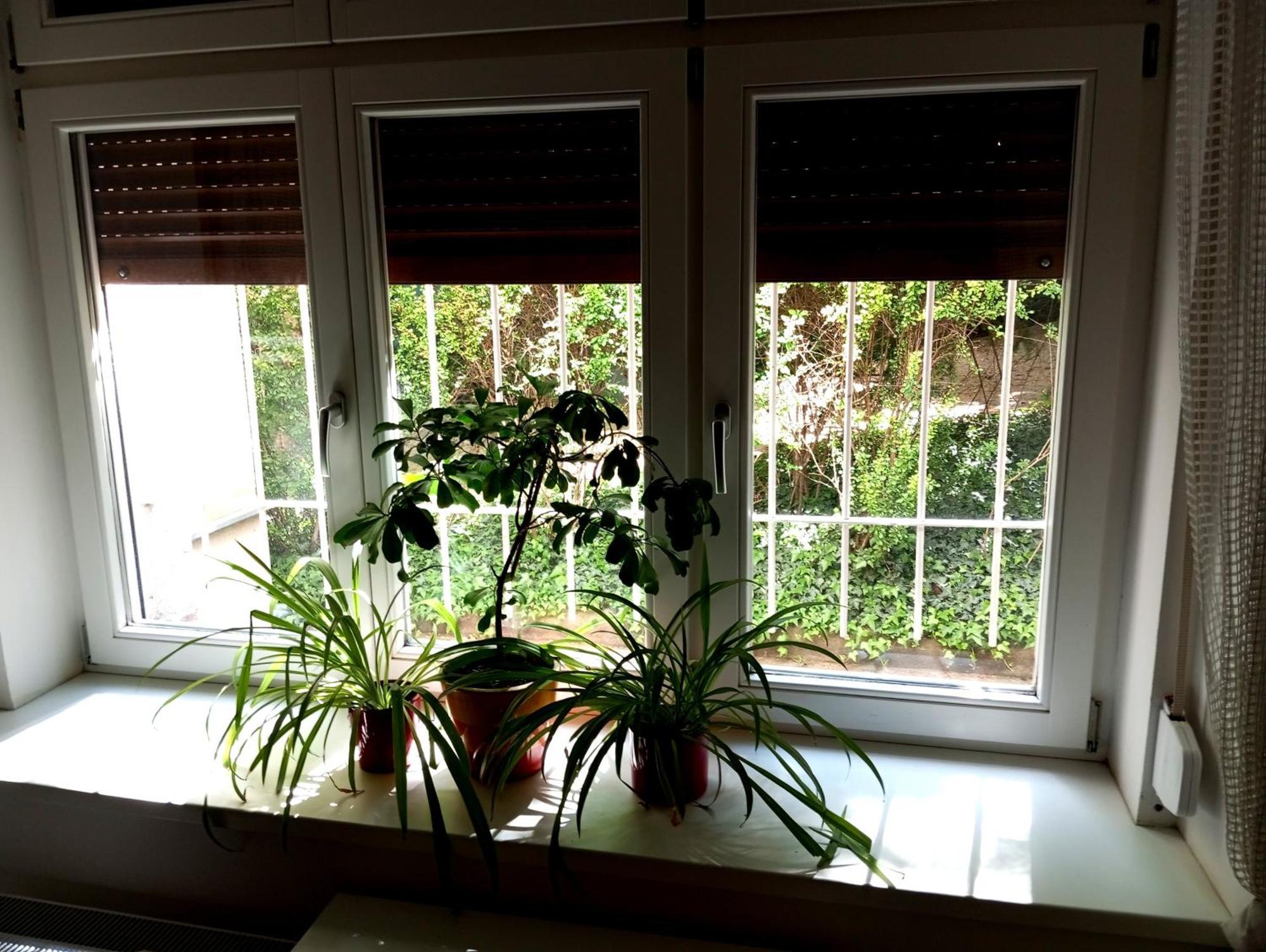 Garden Apartment Praga Zewnętrze zdjęcie